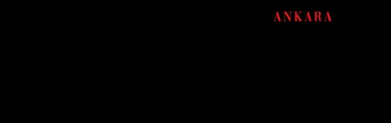 Ankara Life logosu