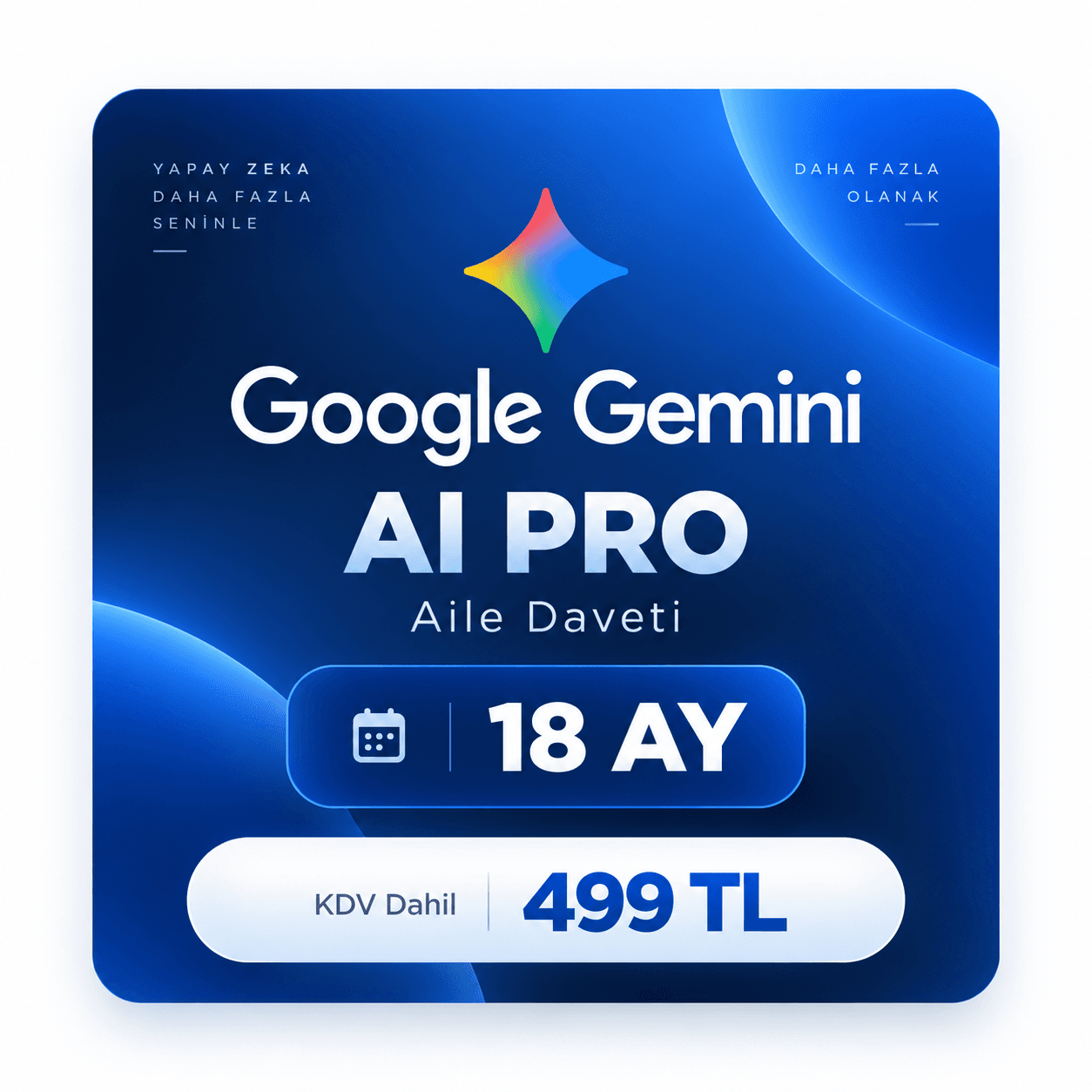 Gemini Pro 18 Aylık Aile Grubu Daveti ürün görseli