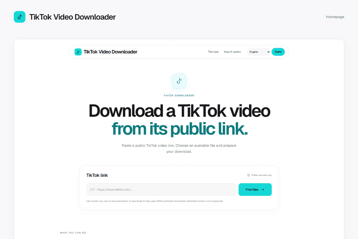 TikTok Video Downloader — Homepage