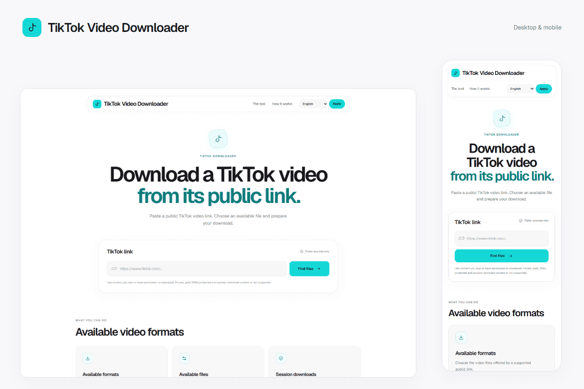 TikTok Video Downloader — Responsive interface